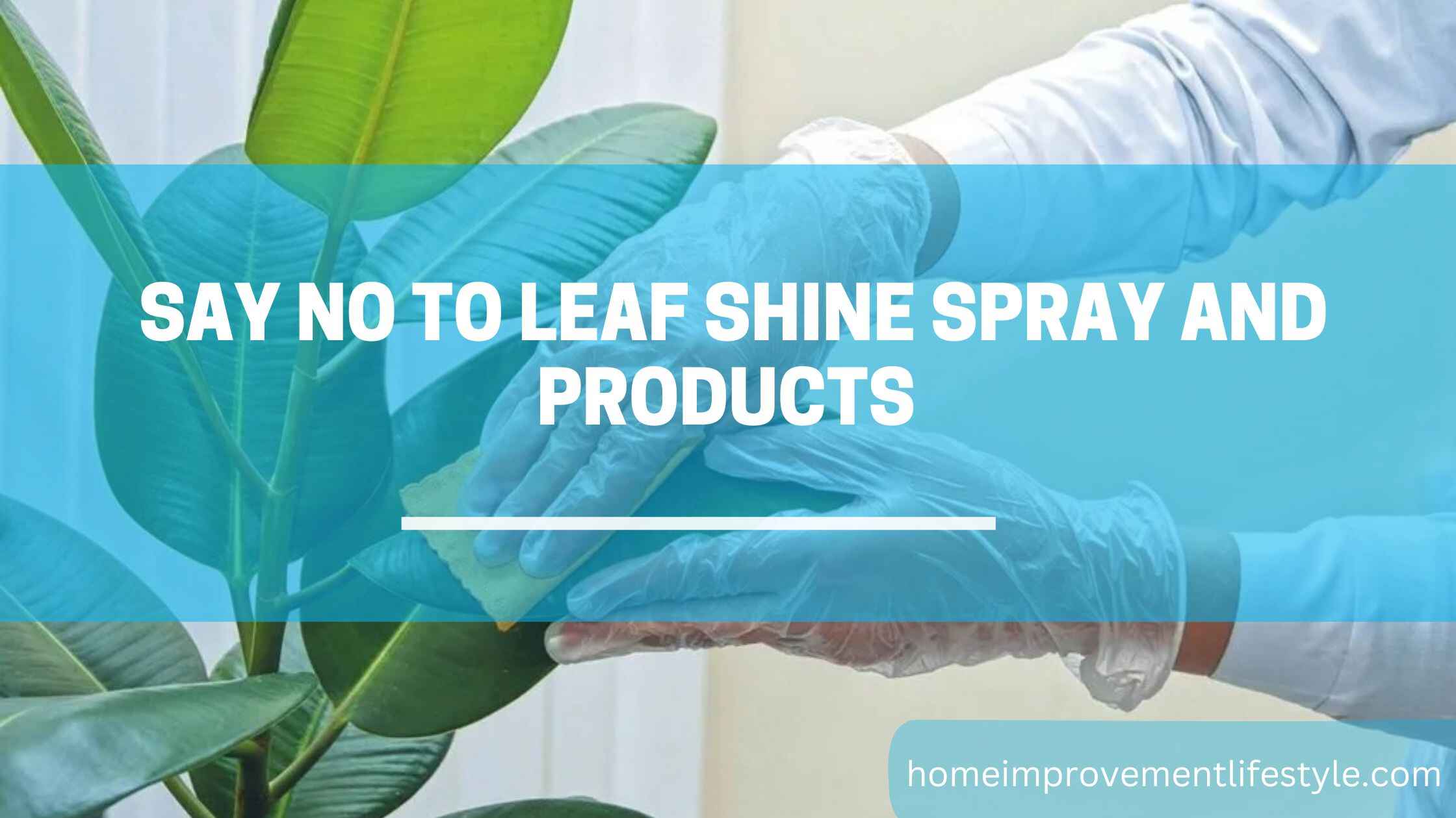 Say No to Leaf Shine Spray and Products