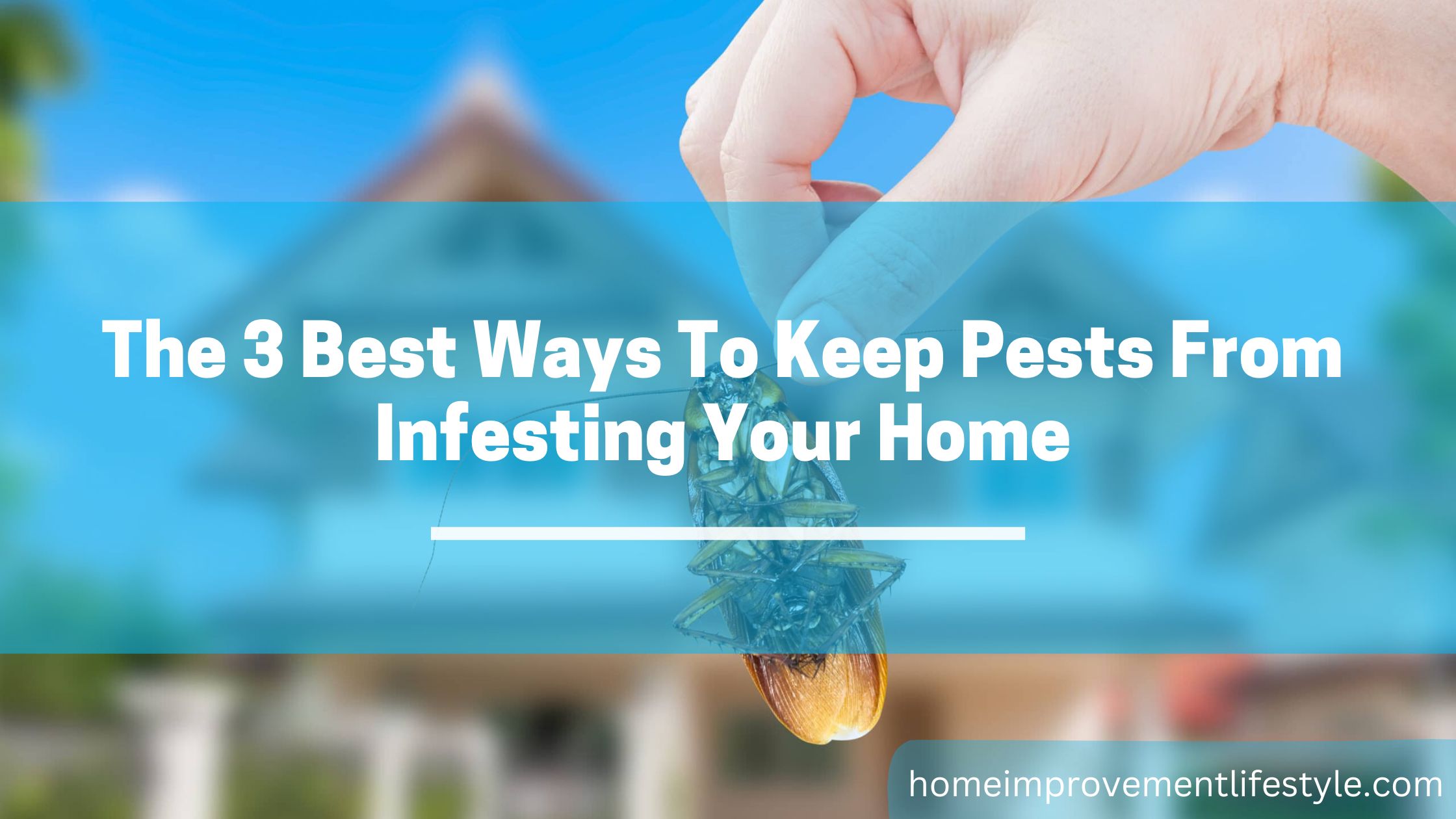 The 3 Best Ways To Keep Pests From Infesting Your Home