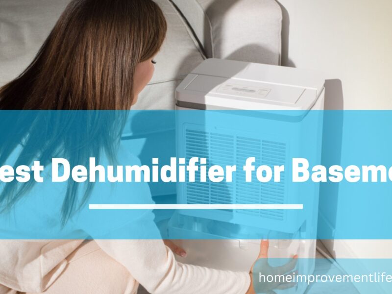 dehumidifier for basement