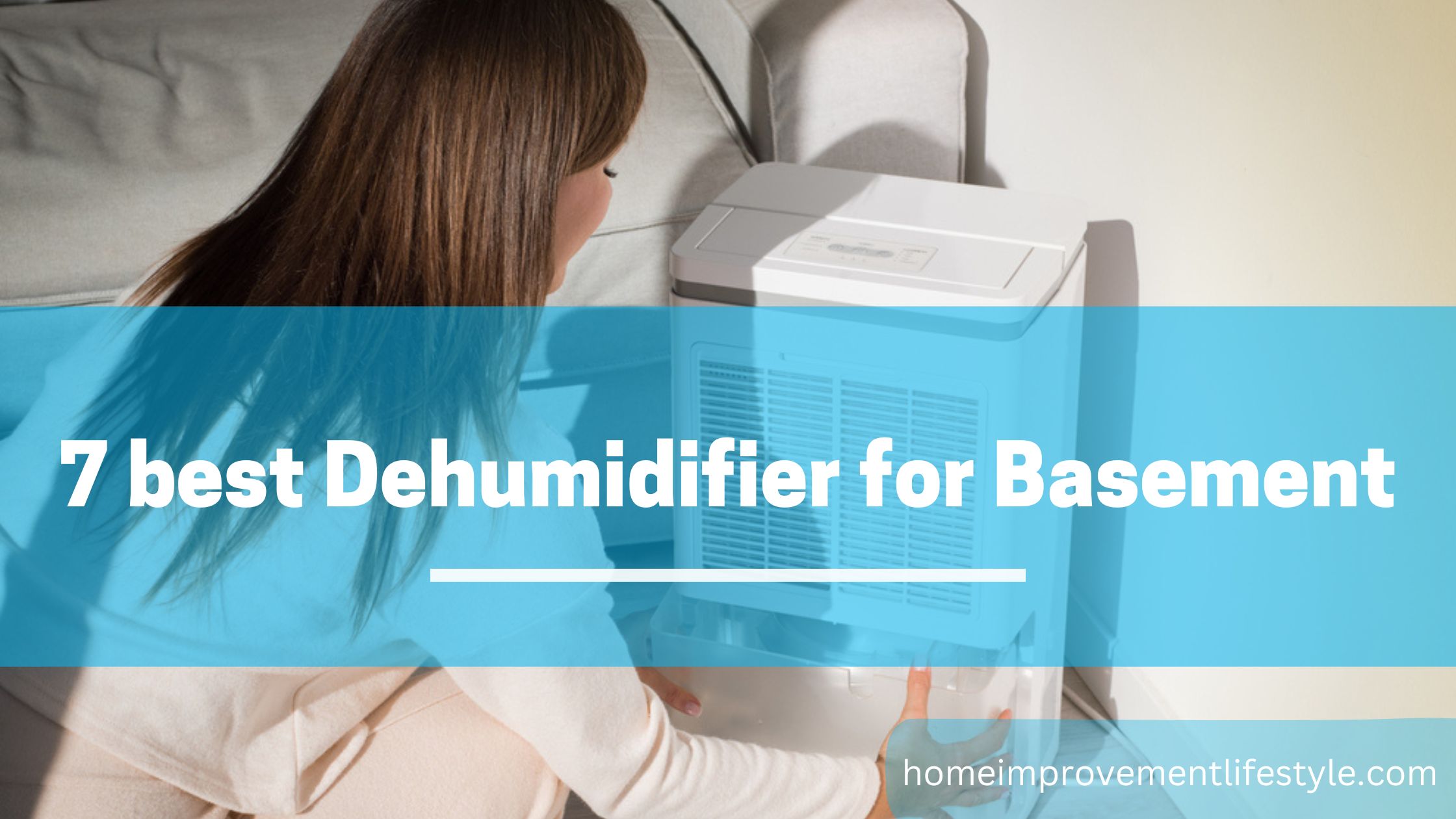 dehumidifier for basement